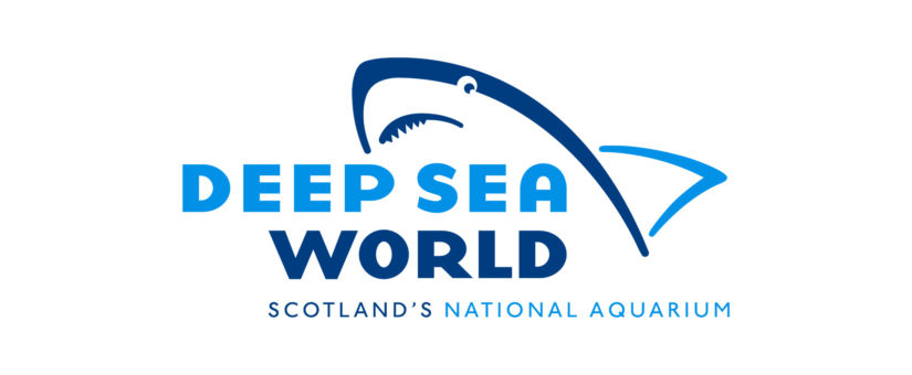 Deep Sea World: un paseo entre tiburones