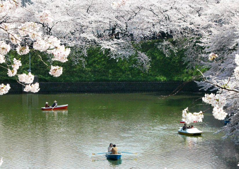 Guía para viajar a Japón en primavera: consejos y qué visitar