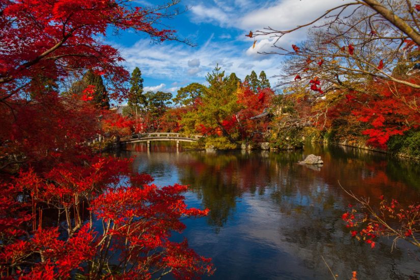 Guía para viajar a Japón en otoño: consejos y qué visitar